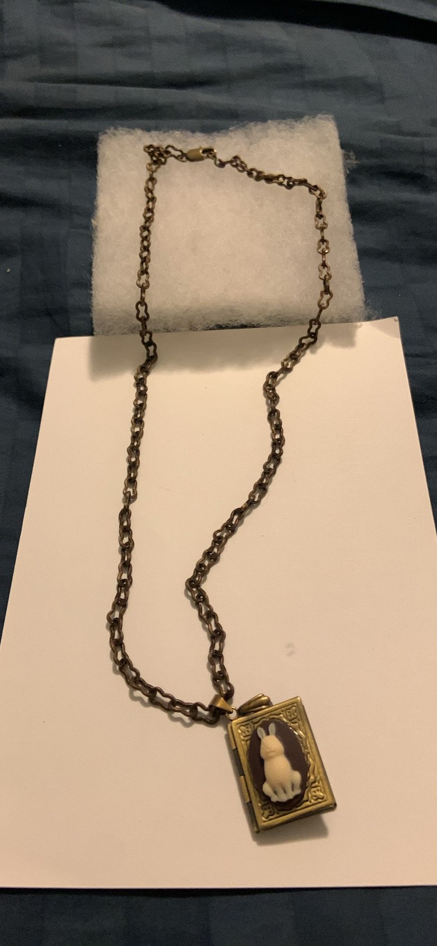 New Jewelry. Bunny Locket And Chain