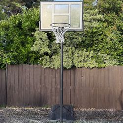 Lifetime basketball hoop