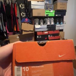 Vintage 1999 Nike Dunk Low Michigan Size 10 Deadstock