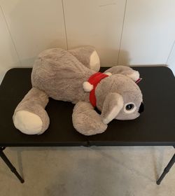 Large Koala Plush Toy