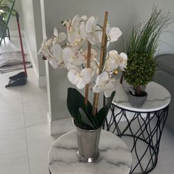Artificial orchid 