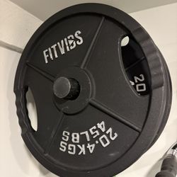 45 Lb Weight Plates x2