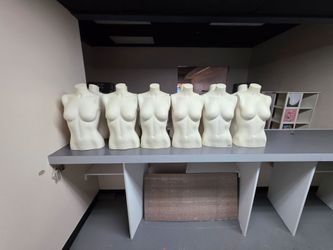 Torsos