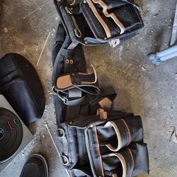 Tool belt