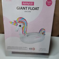 Pool Float 