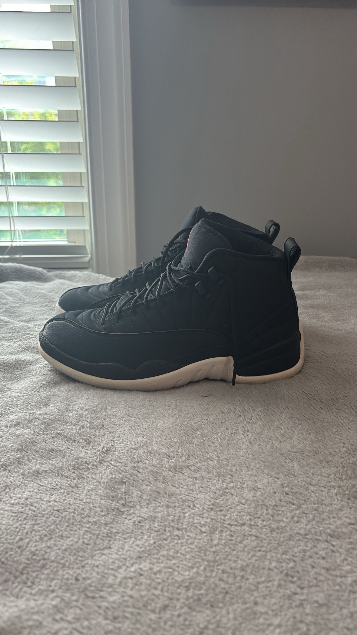 Jordan 12 Size 9