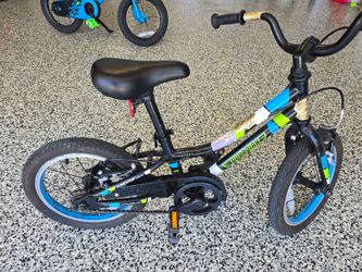 Guardian 14" Bike