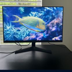 LG Gaming Monitor 