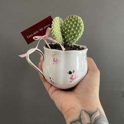 Valentine Gift Ideas 