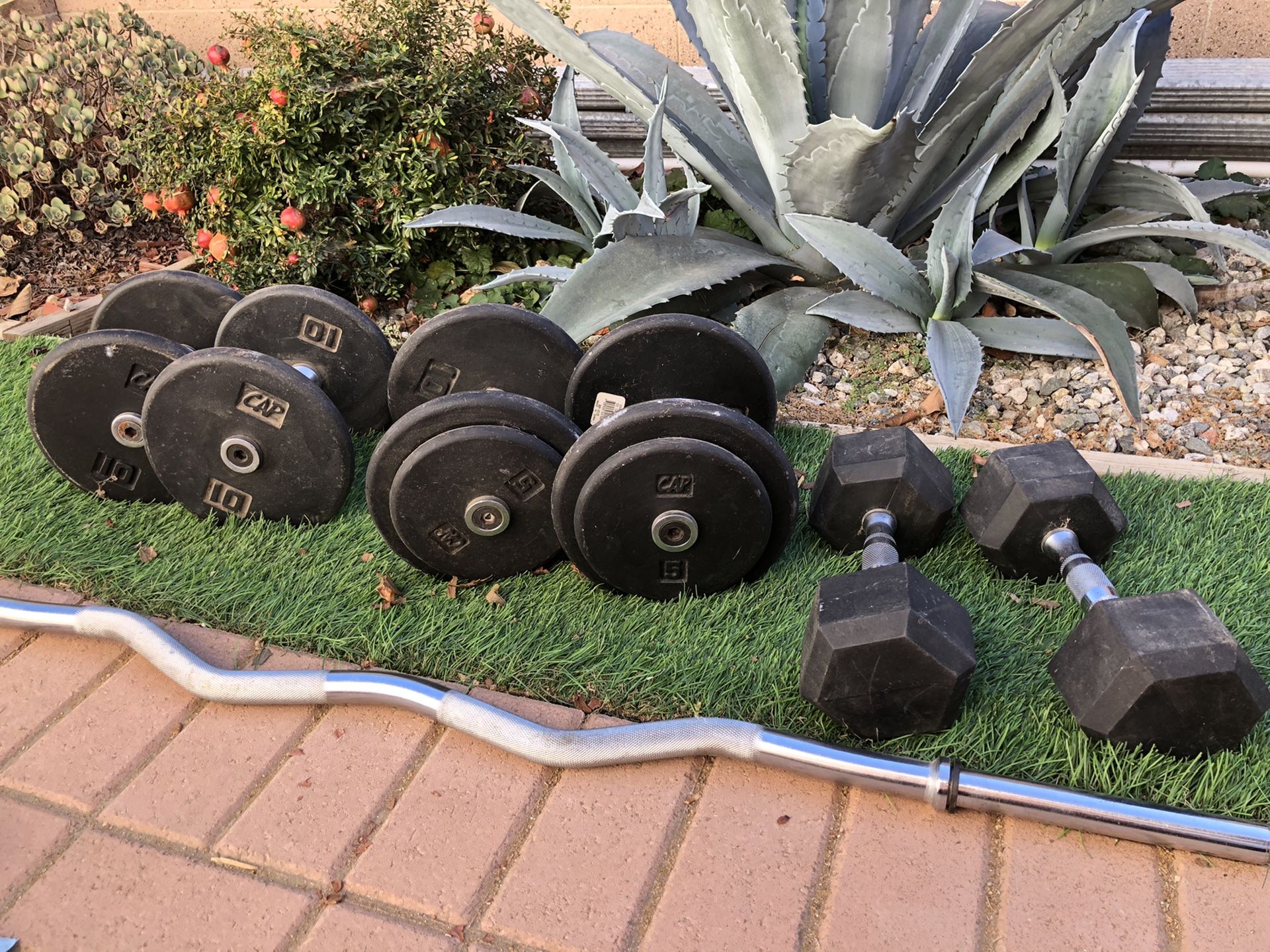 Dumbbells/curl bar for sale