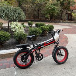 Fat Tire Folding Electric Bike