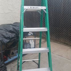 Fiberglass  6'Ladder