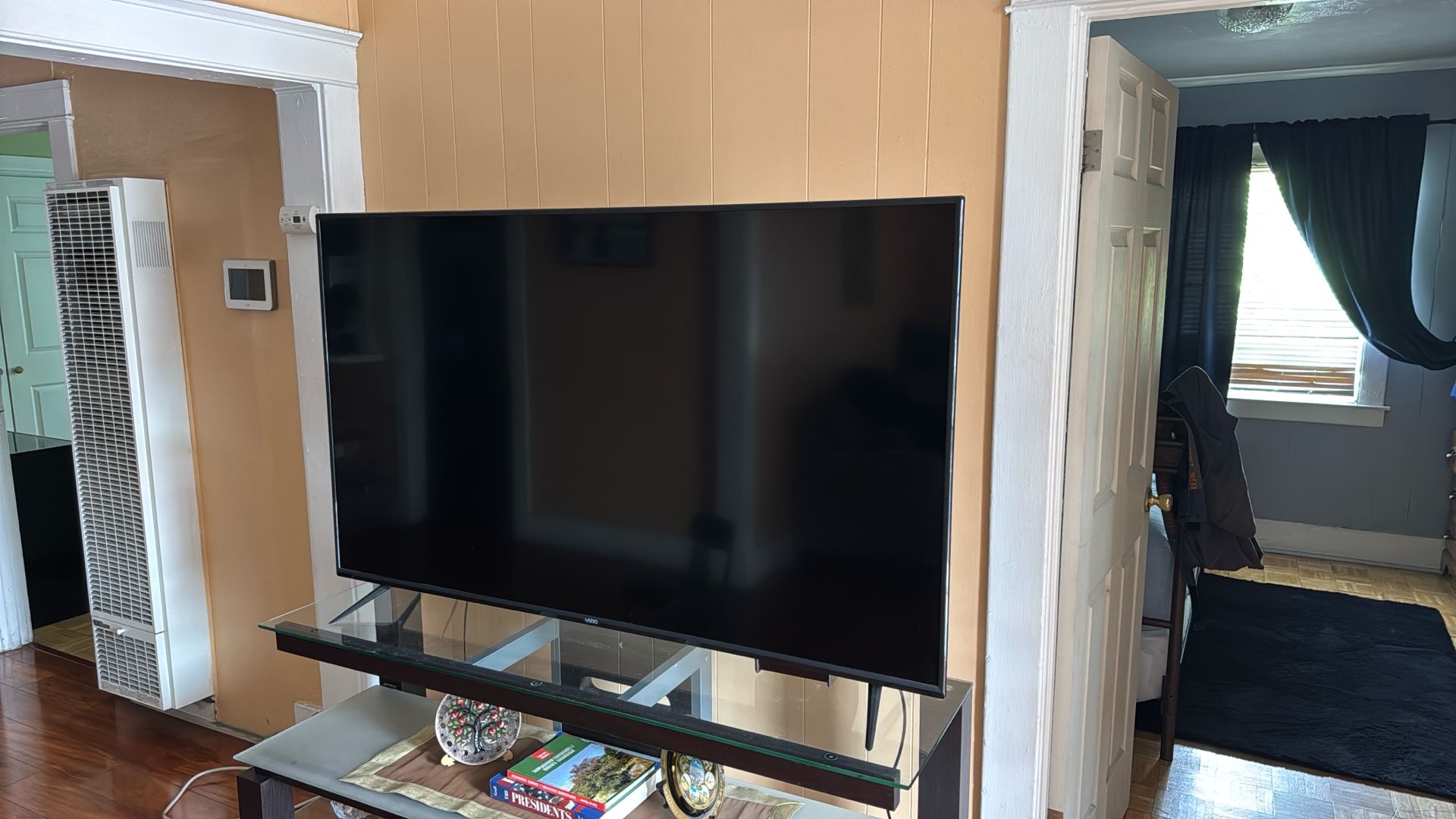55 Inch Vizio tv