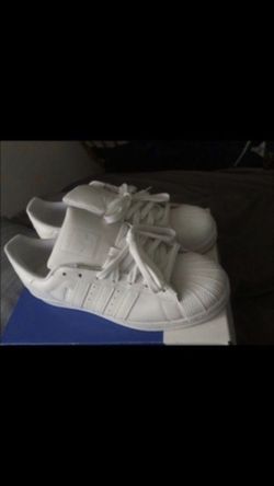 Adidas shell toe