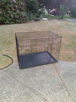 Large Dog Kennel