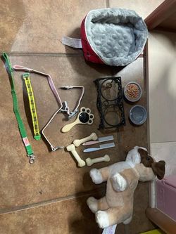 American Girl Dog Set