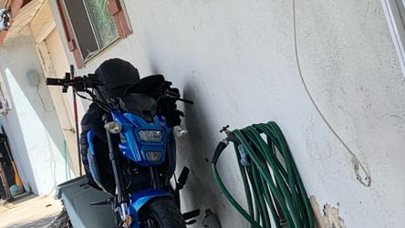 Honda groom clone
