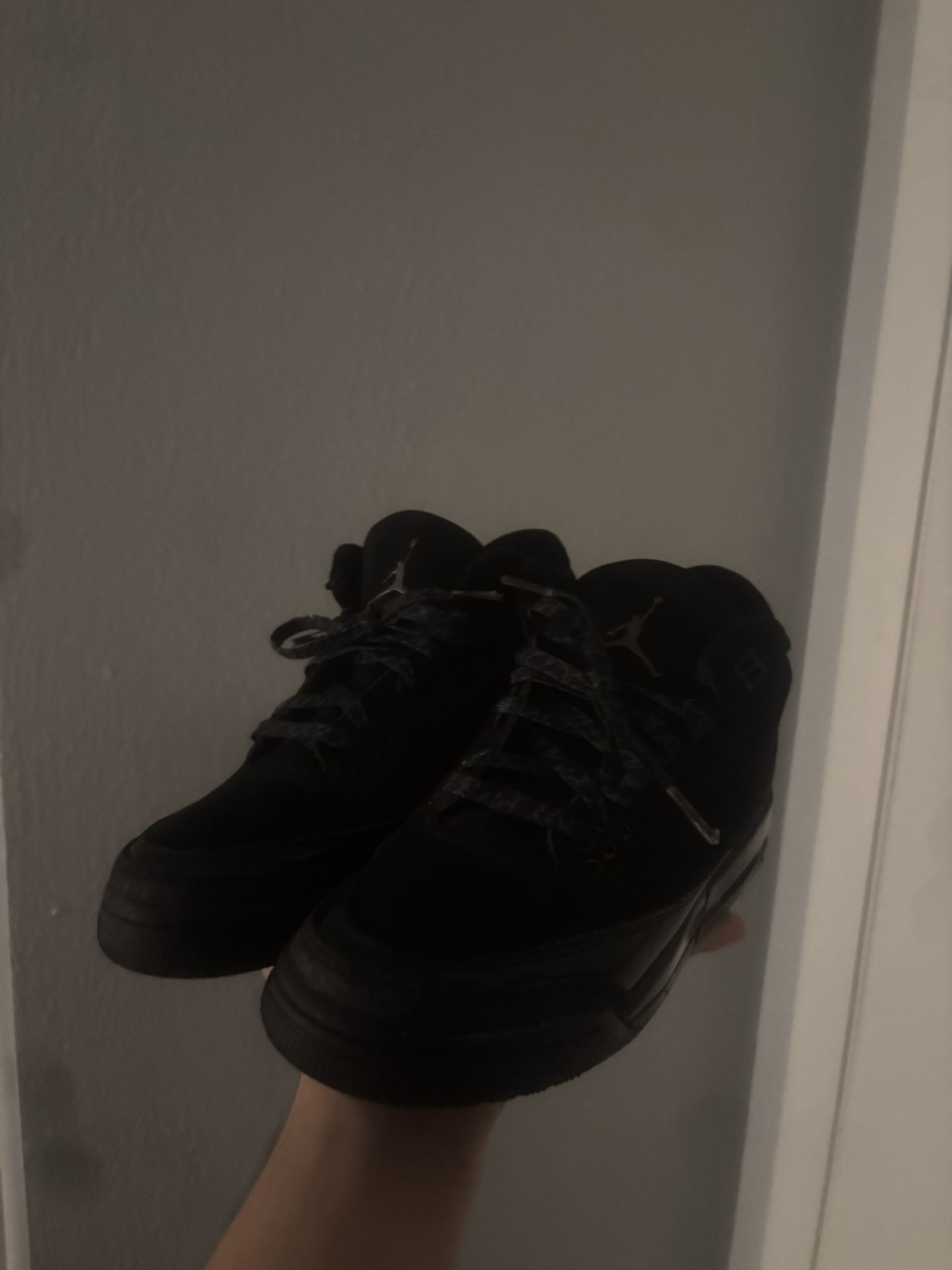 Air Jordan 3 Black Cats