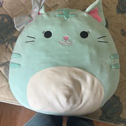 Squishmallow 