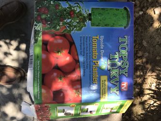 Tomato planter