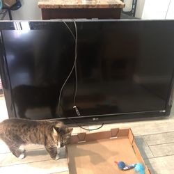 55” LG LCD TV