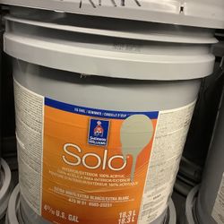 Interior/Exterior Premium Paint (Rare Gray)