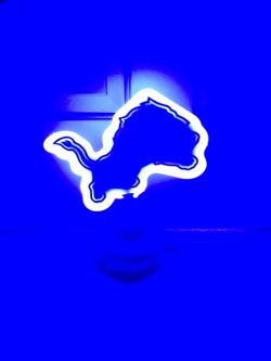 Brand new in box - Detroit Lions Team Logo Neon ( NFL) Official NFL merchandise