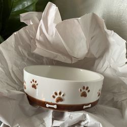 Small dog bowl