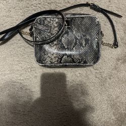 Victoria Secret Purse