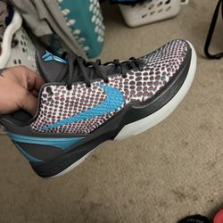 Nike kobes 6s and 8s