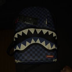 SprayGround backpack