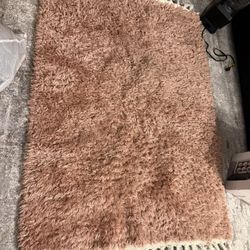 MOVING SALE: Area Rug