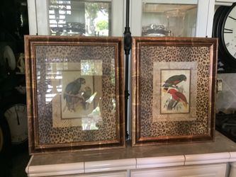 Pair of Framed Prints Parrots