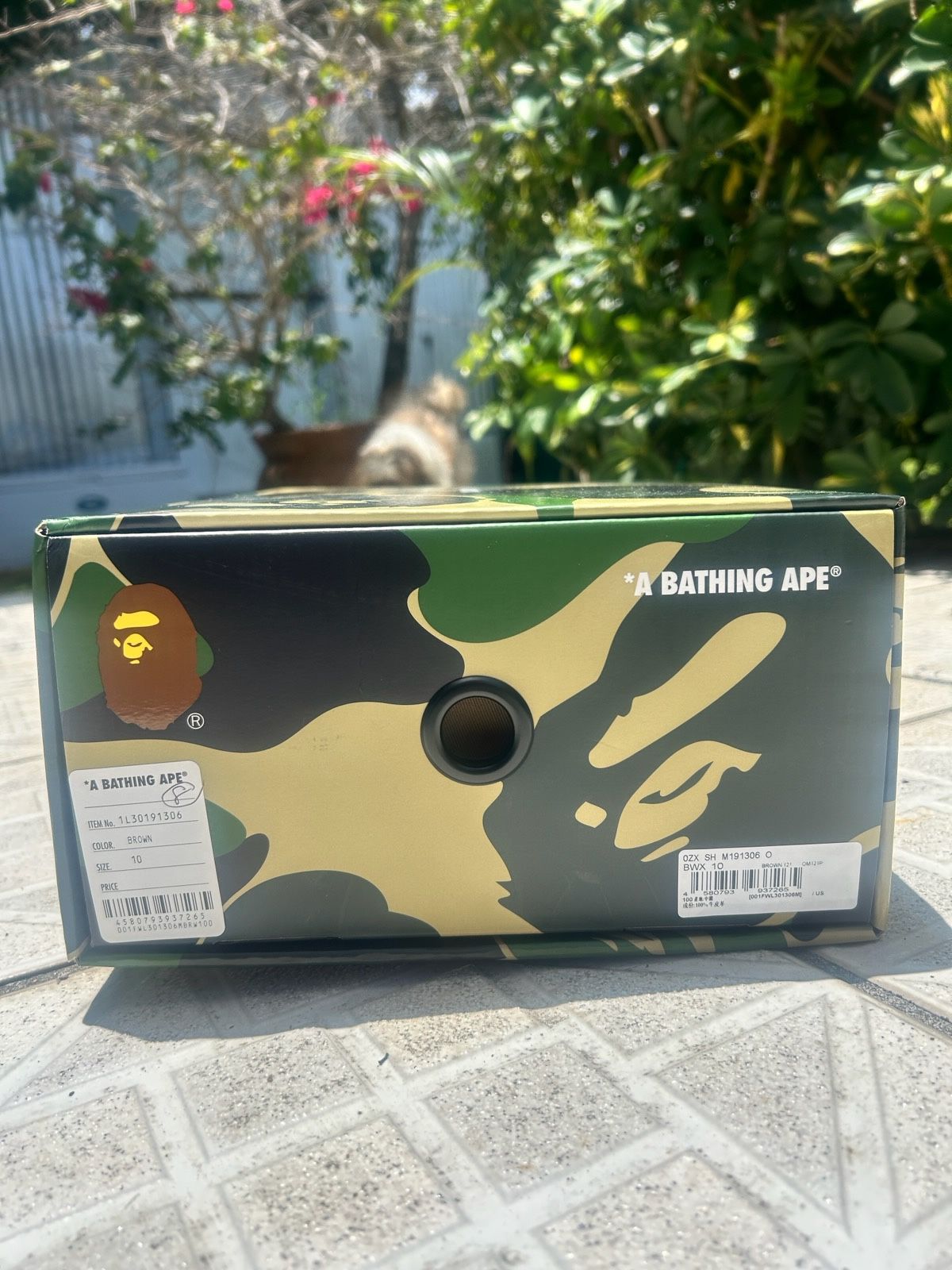 Bape Brown STA Icon 1s