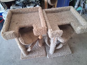 Cat trees