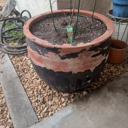 Huge Big Plant  Flowers Flower Clay Pot. Maceta Para Planta Plantas O Flores