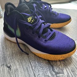 Lebron size 8