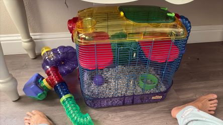 Hamster habitat