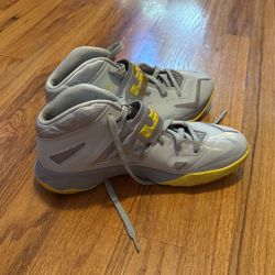 Nike Lebrons 