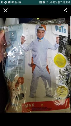 Pets costume
