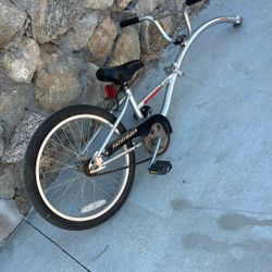 Instep Pathfinder Co-pilot Trailer Bike