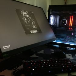 LG Monitor 