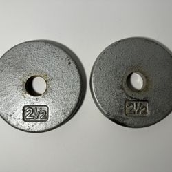 Barbell Weights - Pair of 2.5 Lb Plates