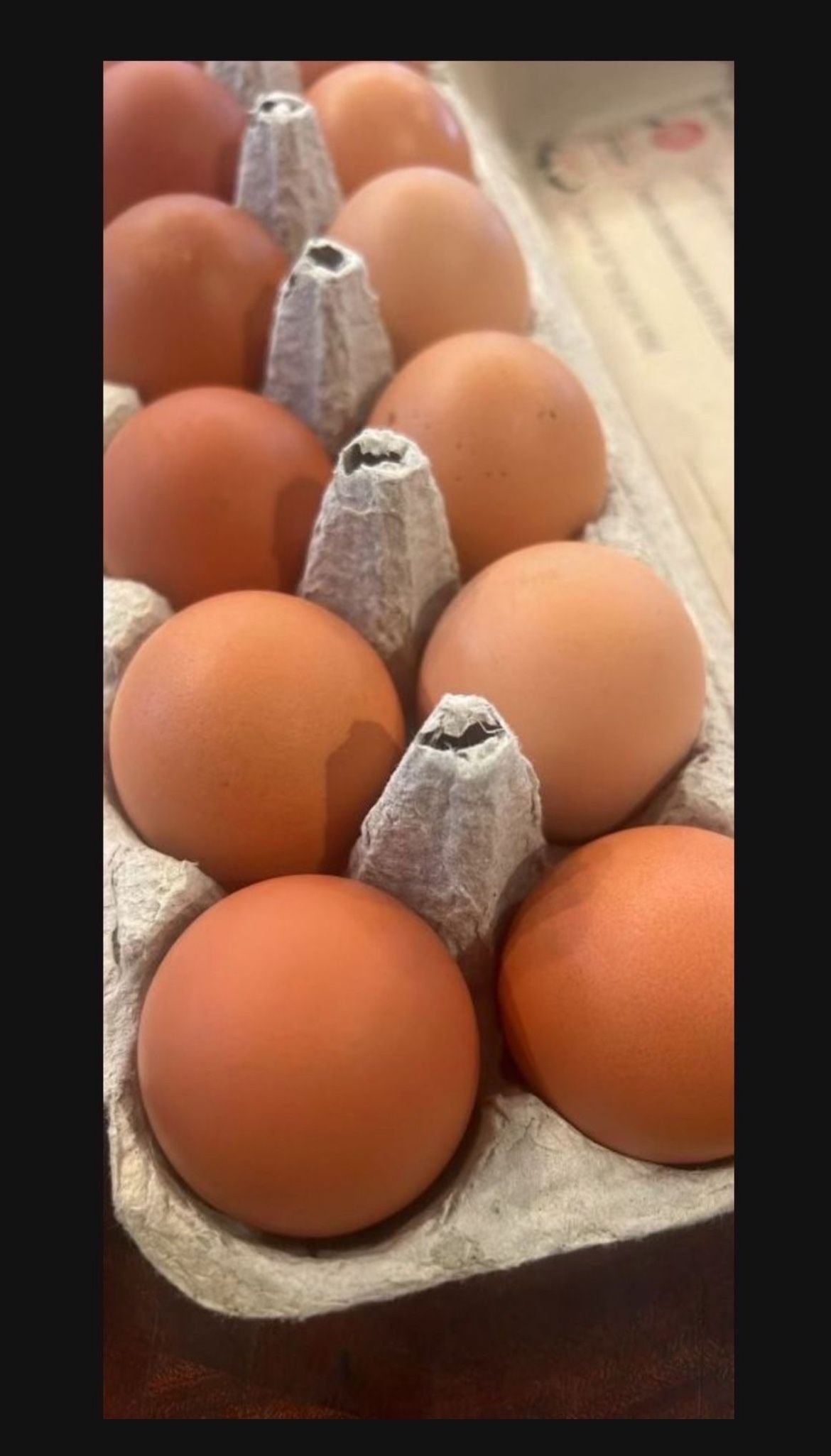 Pasture Raised Eggs