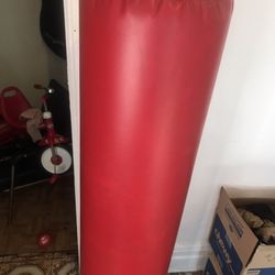 Standing Punching Bag