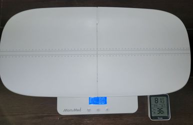 Pup/cat scale & room thermometer