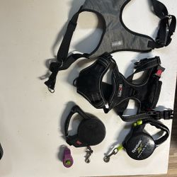 Two dog chest straps, two leashes, and a clicker for training