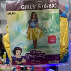 Disney Snow White Costume