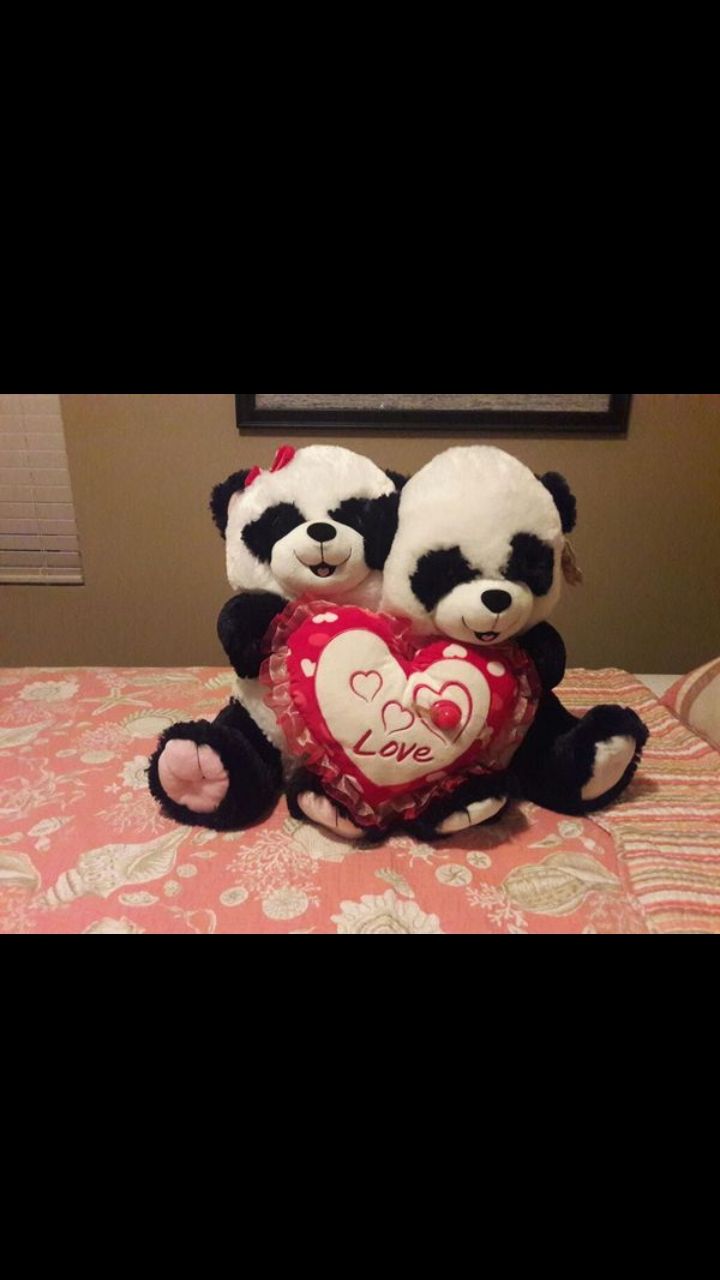 Panda bear