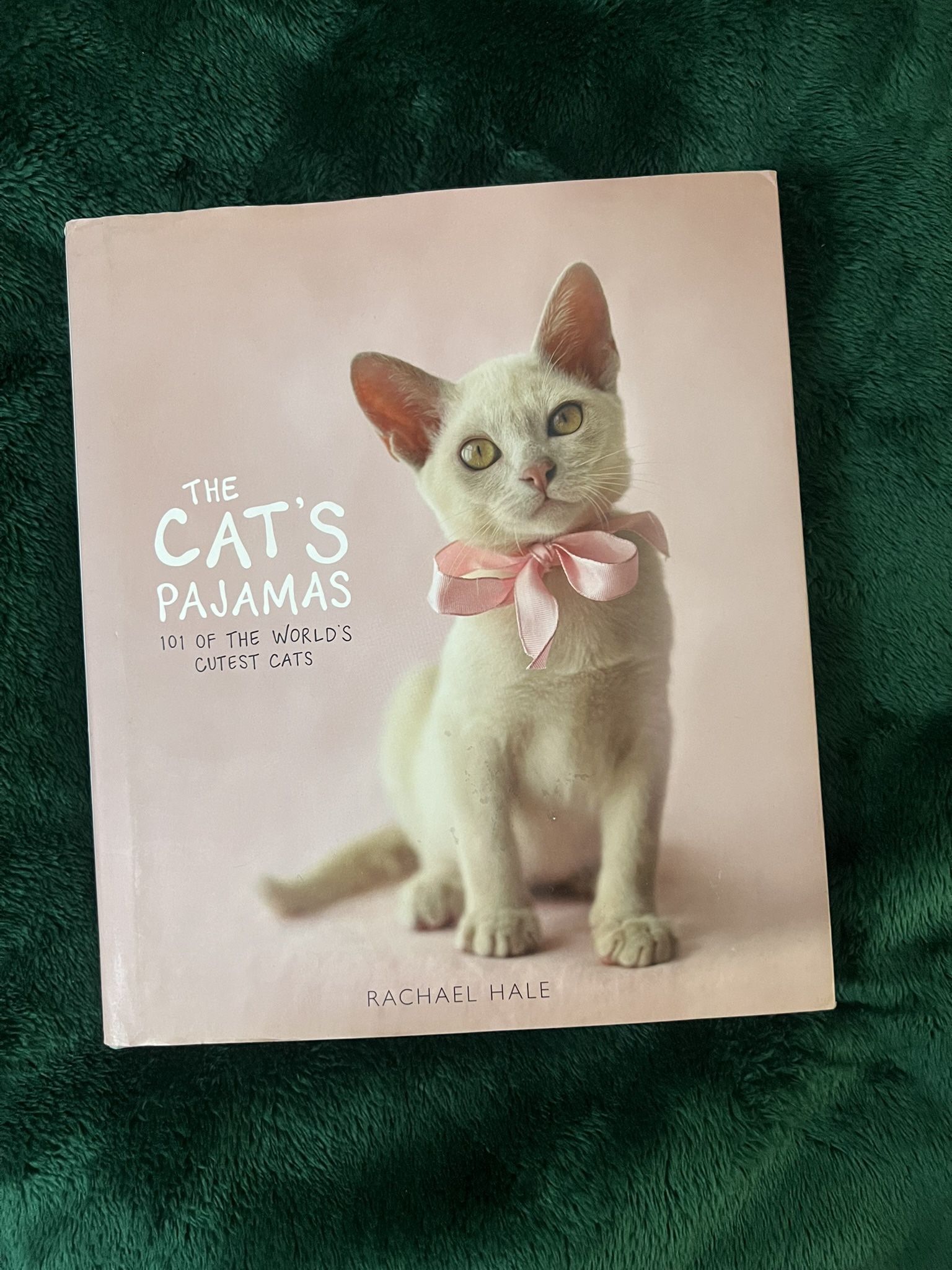 The Cat’s Pajamas - Hardcover photography book